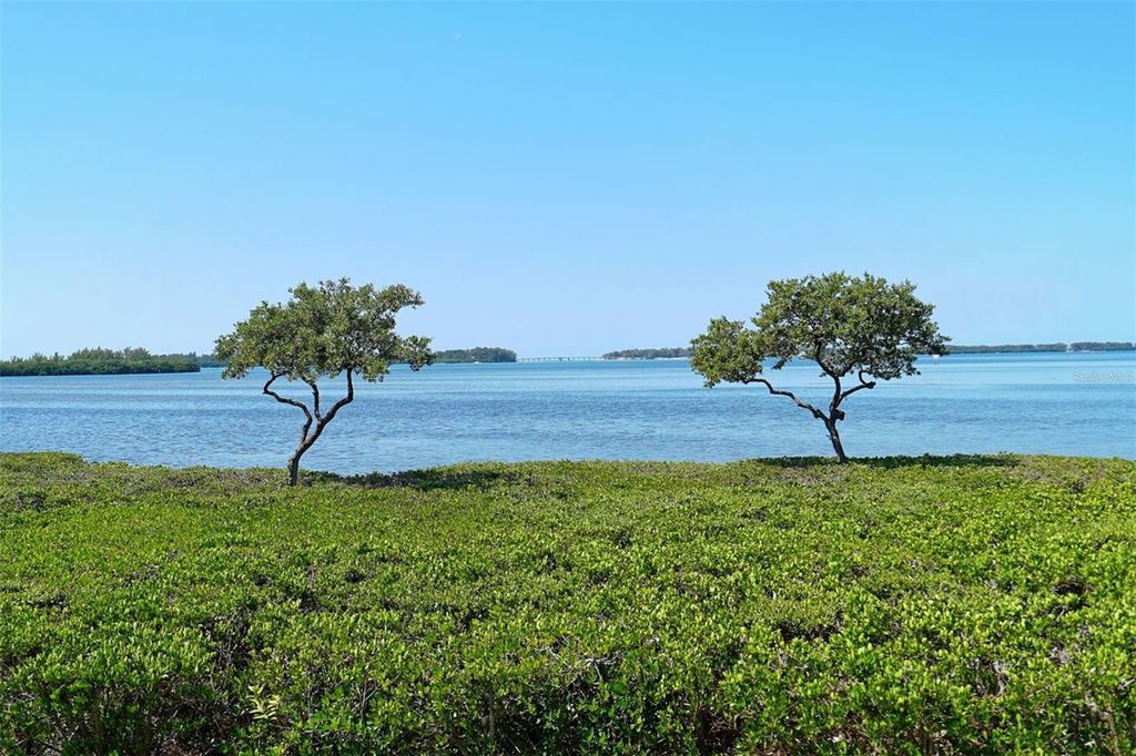 Image 61 of property listing at 4868 INDEPENDENCE DRIVE, Bradenton, FL 34210