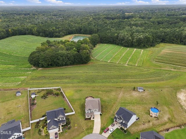 79 Pleasant Grove Court, Willow Springs, NC 27592