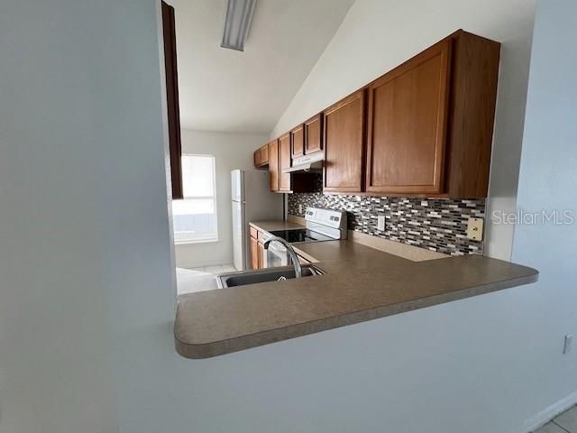 2466 PARSON POND CIRCLE, Kissimmee, FL 34743