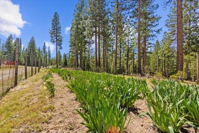 300 Blue Jay Drive C Road, Blairsden, CA 96106