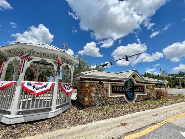 10839 WILD COTTON COURT, Land O Lakes, FL 34638