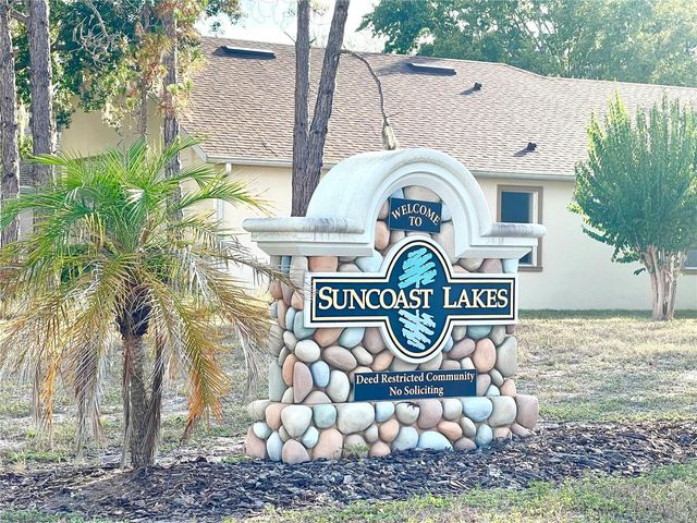 10839 WILD COTTON COURT, Land O Lakes, FL 34638