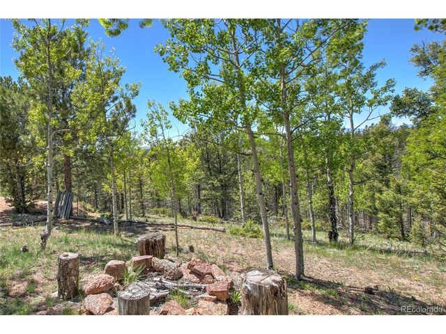 47 Aspen Rd, Woodland Park, CO 80863