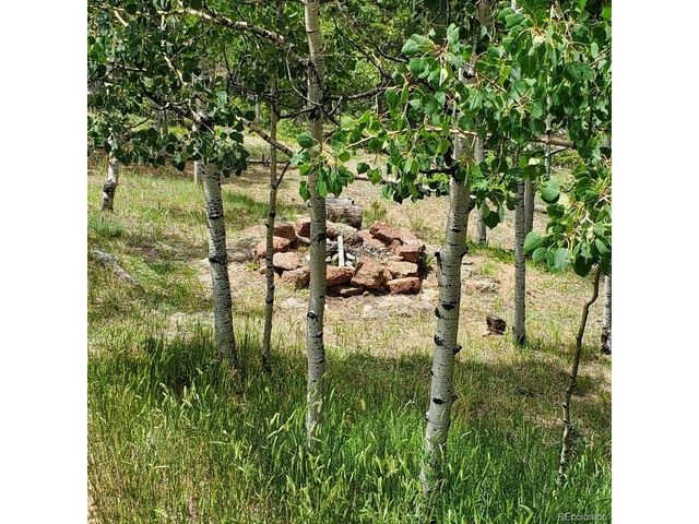47 Aspen Rd, Woodland Park, CO 80863