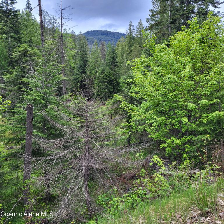 NNA Silver Ave, Bayview, ID 83803 photo 2