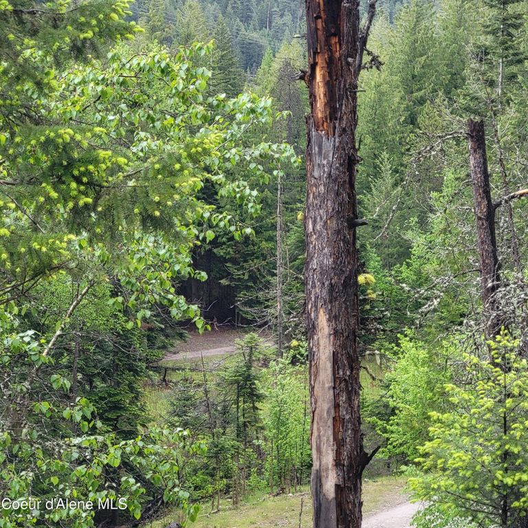 NNA Silver Ave, Bayview, ID 83803 photo 3