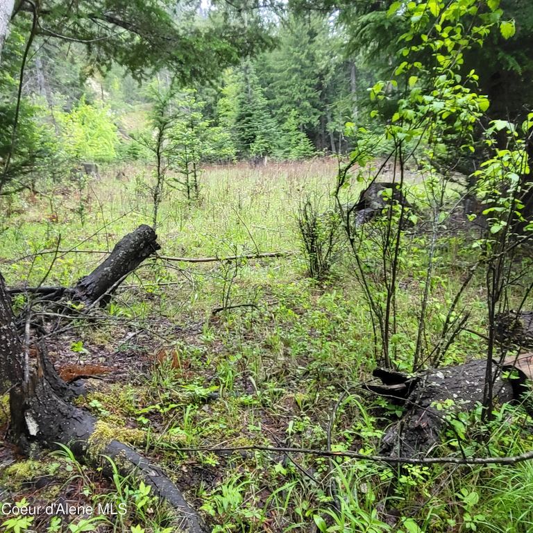 NNA Silver Ave, Bayview, ID 83803 photo 5