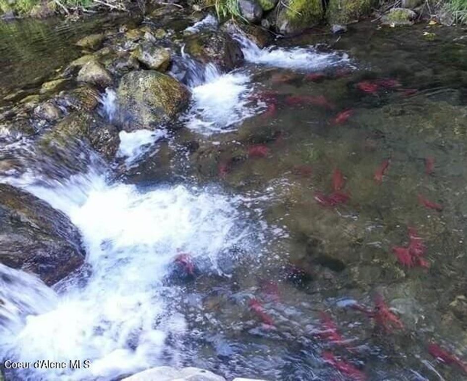 NNA Silver Ave, Bayview, ID 83803 photo 6