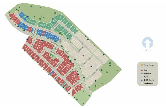 233 Raine Manor Court, Montgomery, TX 77316