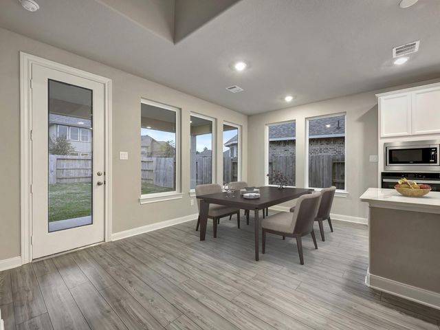 233 Raine Manor Court, Montgomery, TX 77316