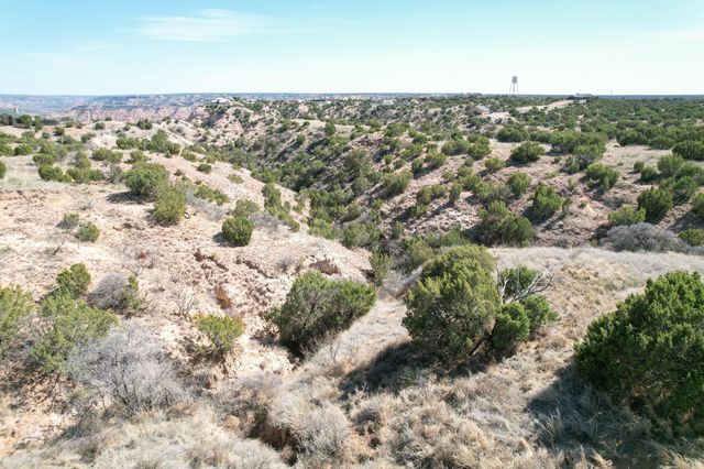 10450 INDIAN CAMP Trail, Canyon, TX 79015