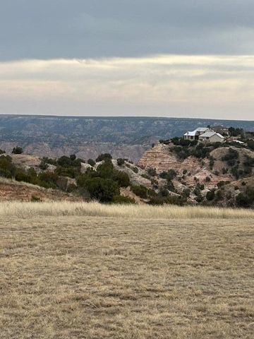 10450 INDIAN CAMP Trail, Canyon, TX 79015