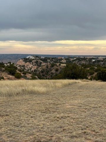10450 INDIAN CAMP Trail, Canyon, TX 79015