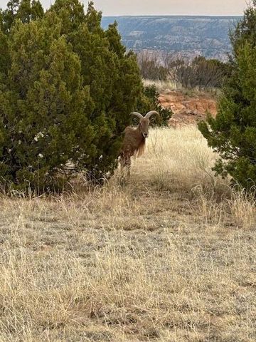 10450 INDIAN CAMP Trail, Canyon, TX 79015