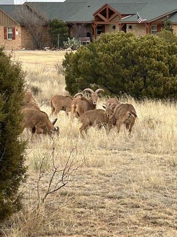 10450 INDIAN CAMP Trail, Canyon, TX 79015