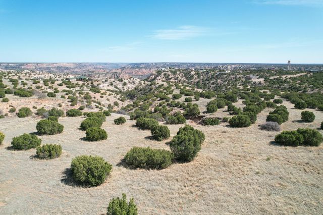 10450 INDIAN CAMP Trail, Canyon, TX 79015