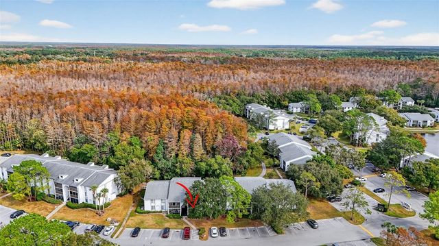 1258 PINE RIDGE CIRCLE W D1, Tarpon Springs, FL 34688