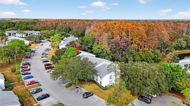 1258 PINE RIDGE CIRCLE W D1, Tarpon Springs, FL 34688