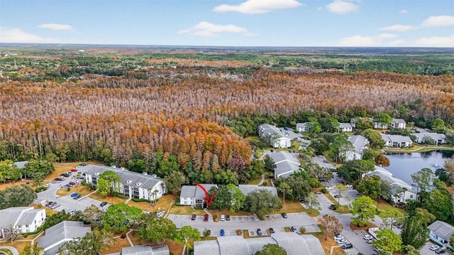 1258 PINE RIDGE CIRCLE W D1, Tarpon Springs, FL 34688