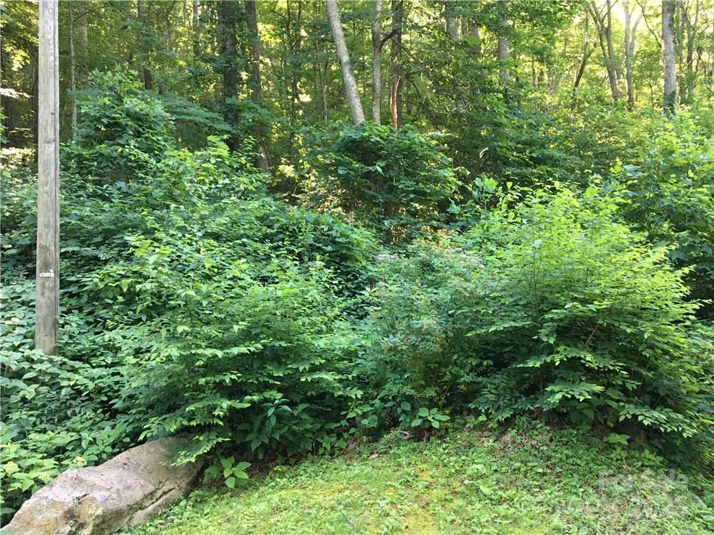 TBD Red Oak Forest Road, Fairview, NC 28730