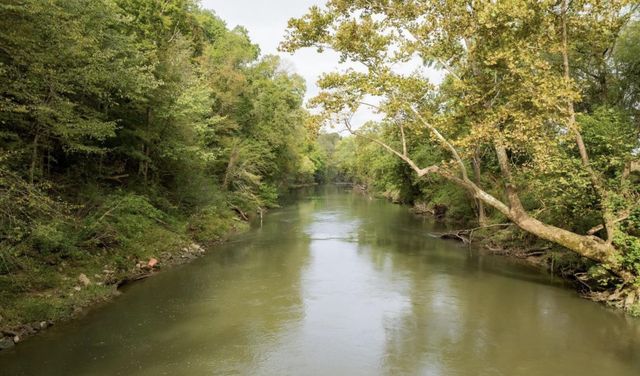 7 Sturgeon Creek Road, Cedar Hill, TN 37032