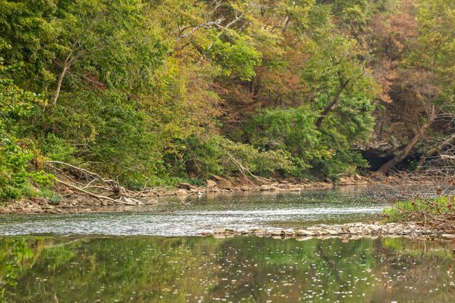 7 Sturgeon Creek Road, Cedar Hill, TN 37032