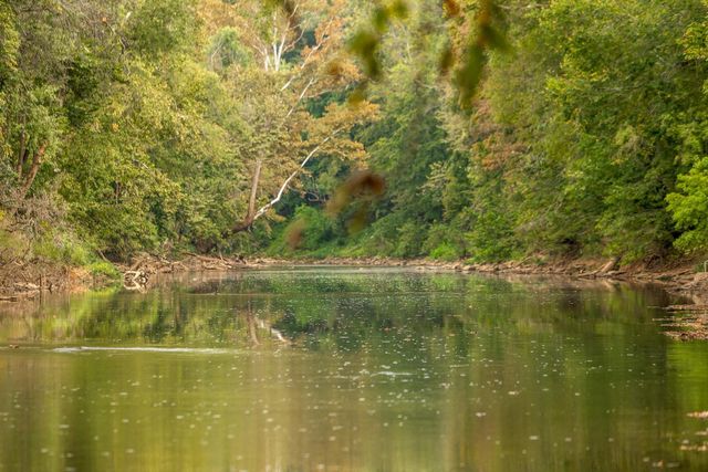 7 Sturgeon Creek Road, Cedar Hill, TN 37032