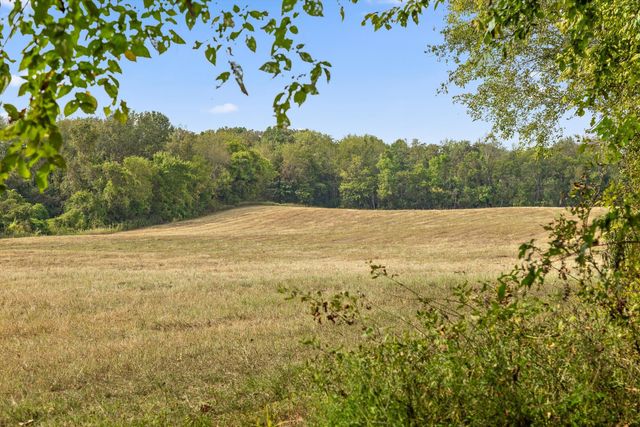 7 Sturgeon Creek Road, Cedar Hill, TN 37032