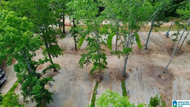 133 LAKE BREEZE LANE, Wedowee, AL 36278