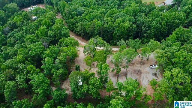 133 LAKE BREEZE LANE, Wedowee, AL 36278