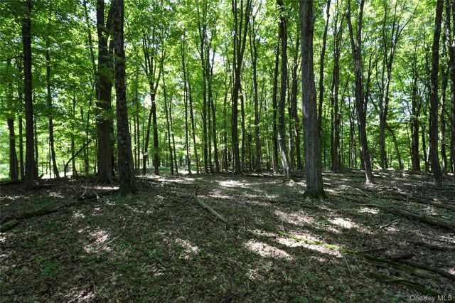 458 Lucas Avenue, Kingston, NY 12487