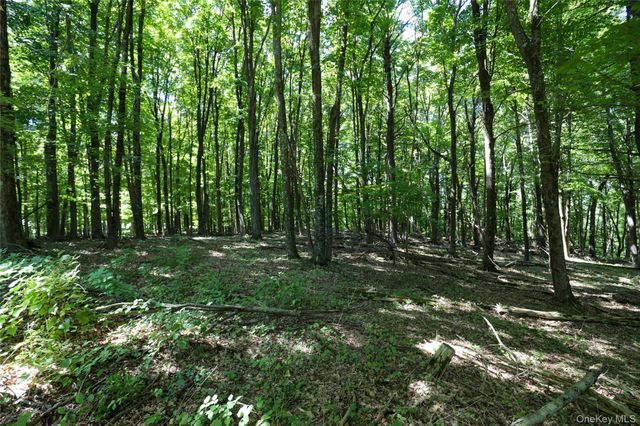 458 Lucas Avenue, Kingston, NY 12487