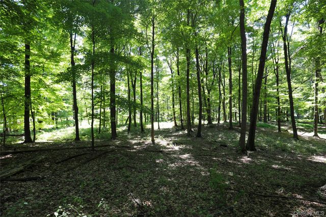 458 Lucas Avenue, Kingston, NY 12487