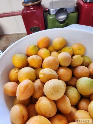 495 Fairway Drive, Pocatello, ID 83201