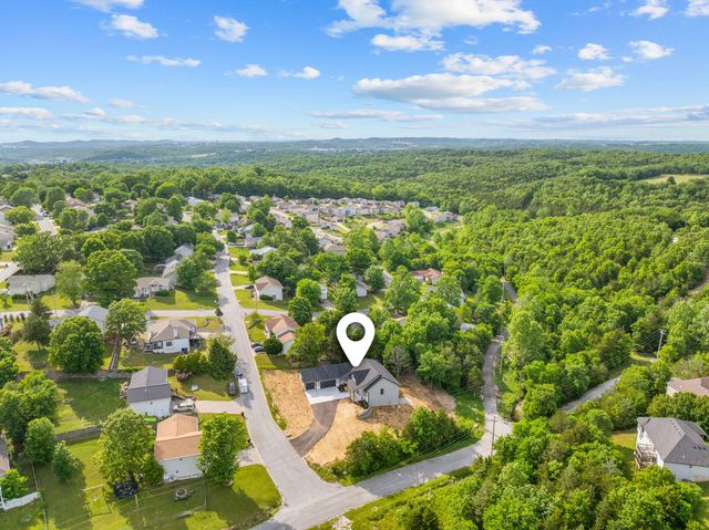 654 Walkington Lane, Branson, MO 65616
