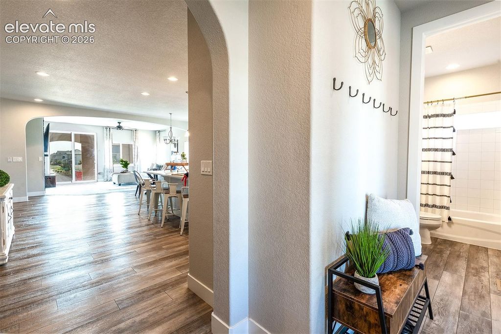 7207 Winterstone Court, Colorado Springs, CO 80927 — photo 5