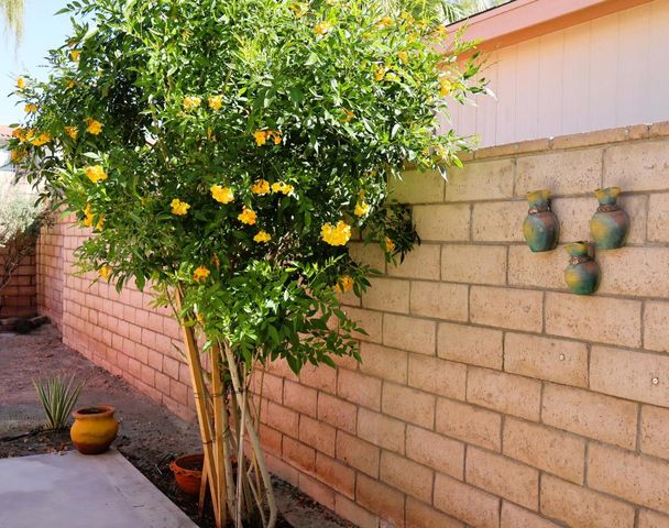 74456 Angels Camp Road, Palm Desert, CA 92260