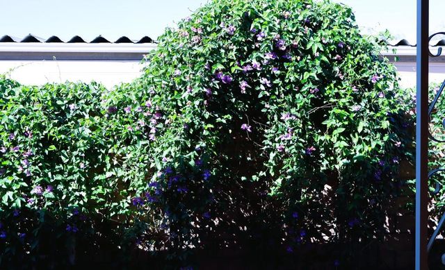 74456 Angels Camp Road, Palm Desert, CA 92260