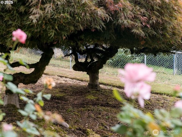 4305 E 15th Street, Vancouver, WA 98661