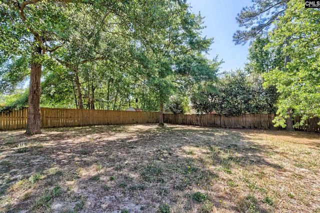 309 Joshua Tree Ct, Blythewood, SC 29016