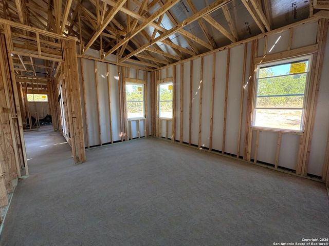 10891 Chestnut Warbler, New Braunfels, TX 78132