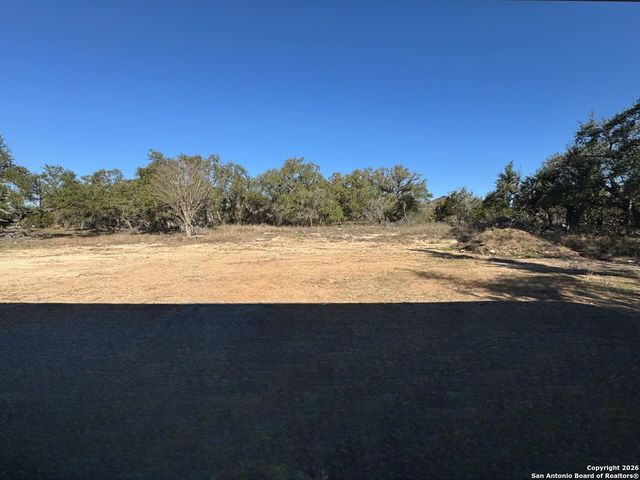 10891 Chestnut Warbler, New Braunfels, TX 78132