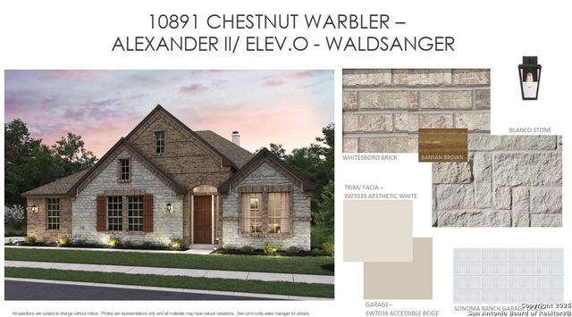 10891 Chestnut Warbler, New Braunfels, TX 78132