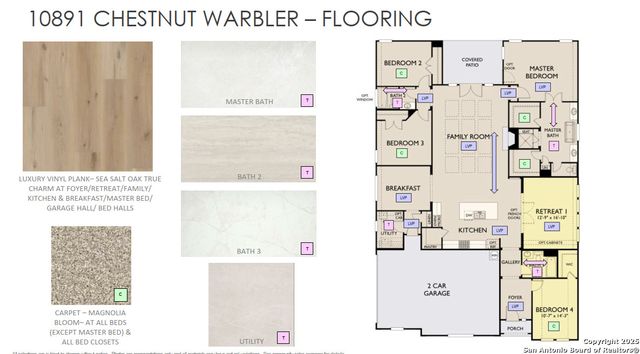 10891 Chestnut Warbler, New Braunfels, TX 78132