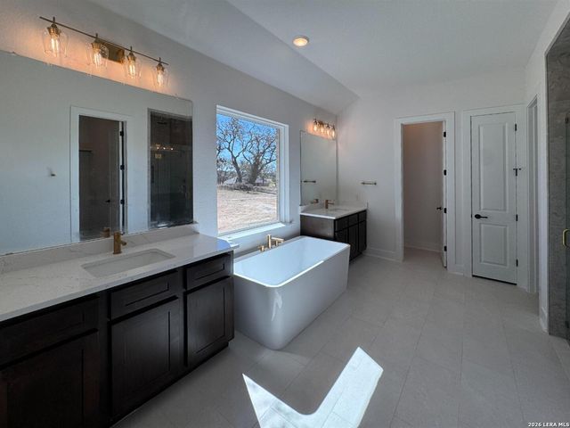 10891 Chestnut Warbler, New Braunfels, TX 78132