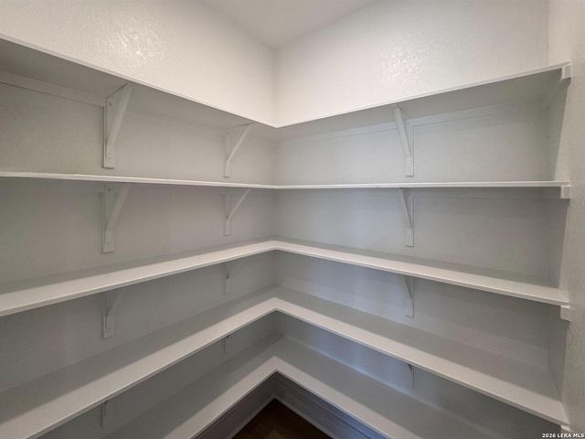 10891 Chestnut Warbler, New Braunfels, TX 78132