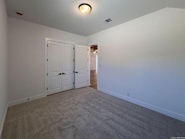 10891 Chestnut Warbler, New Braunfels, TX 78132