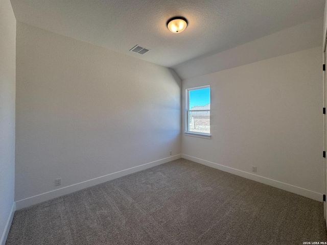 10891 Chestnut Warbler, New Braunfels, TX 78132