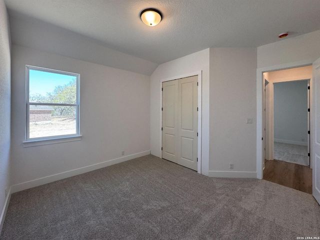 10891 Chestnut Warbler, New Braunfels, TX 78132