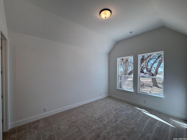 10891 Chestnut Warbler, New Braunfels, TX 78132